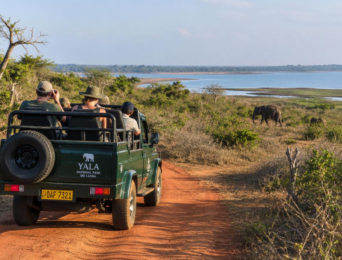Safari jeep on a red dirt track in Yala with elephants nearby